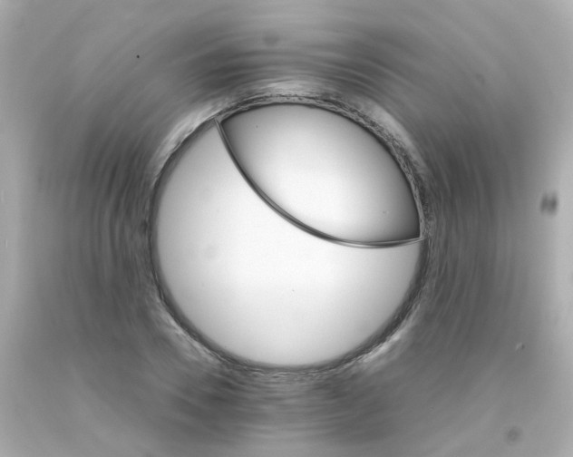 X0000093150930200710241400