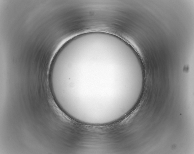 X0000093150932200710241400