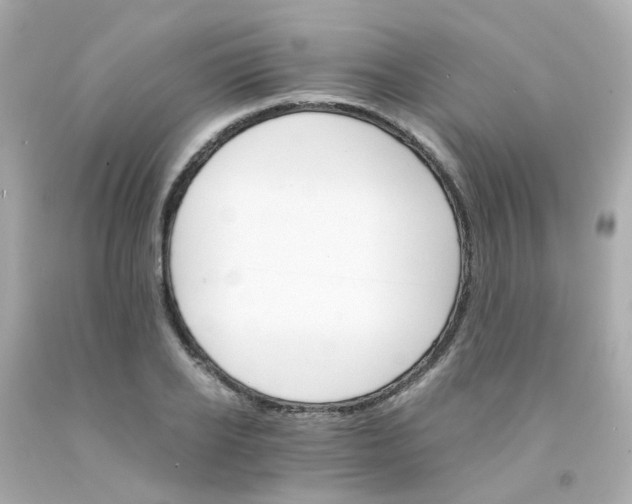 X0000093150934200710241400