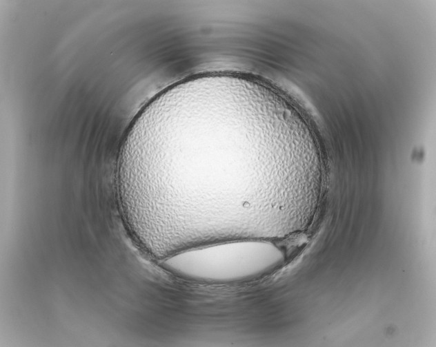 X0000093150937200710241400