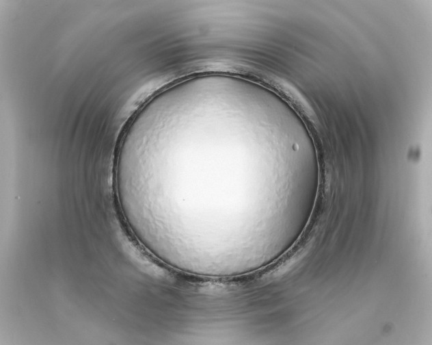 X0000093150938200710241400