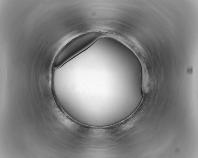 X0000093150940200710241400