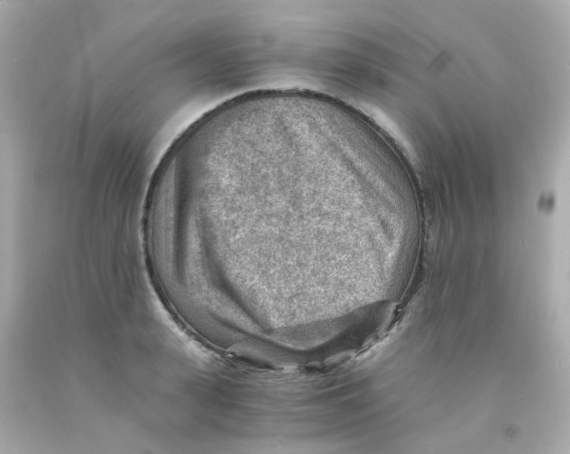 X0000093150943200710241400