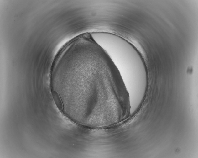 X0000093150944200710241400