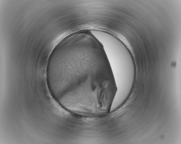 X0000093150946200710241400