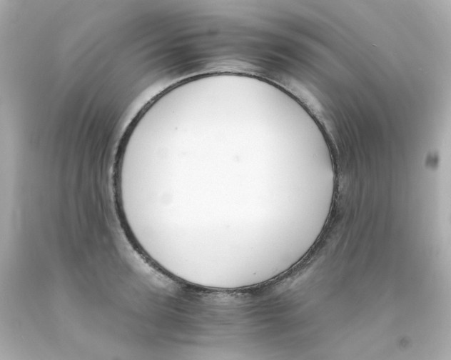 X0000093150947200710241400