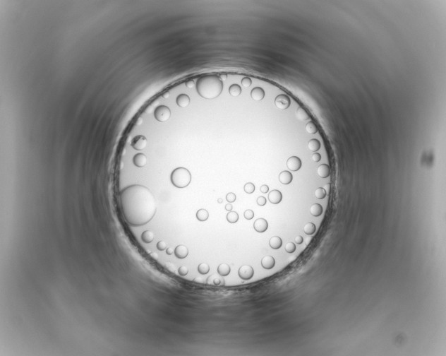 X0000093150949200710241400