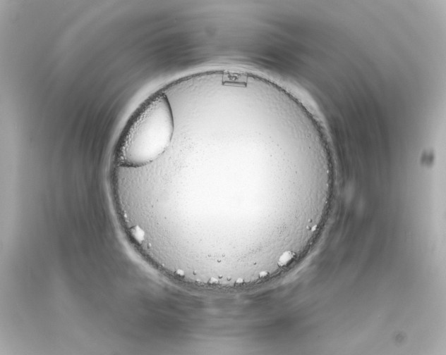 X0000093150950200710241400