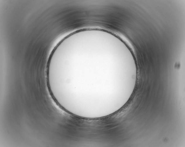 X0000093150951200710241400