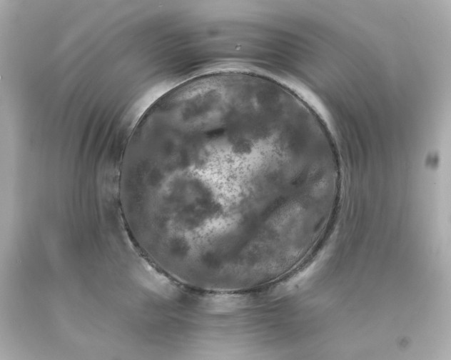 X0000093150953200710241400