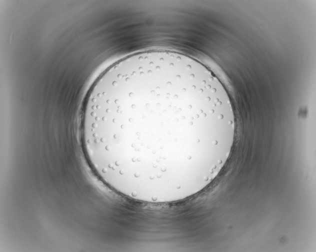 X0000093150955200710241400