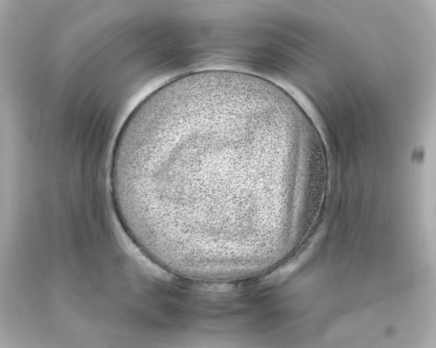 X0000093150957200710241400