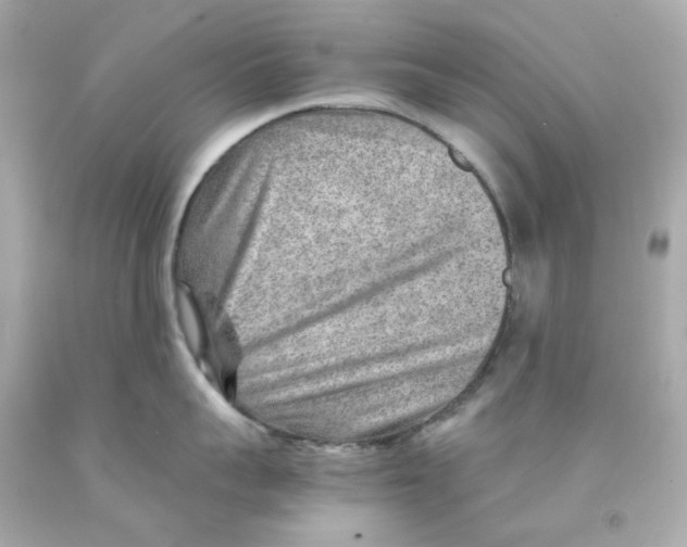 X0000093150959200710241400