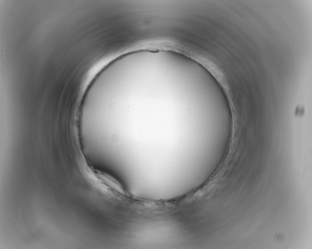 X0000093150960200710241400