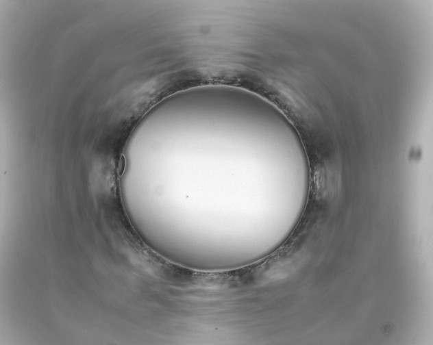 X0000093150963200710241359