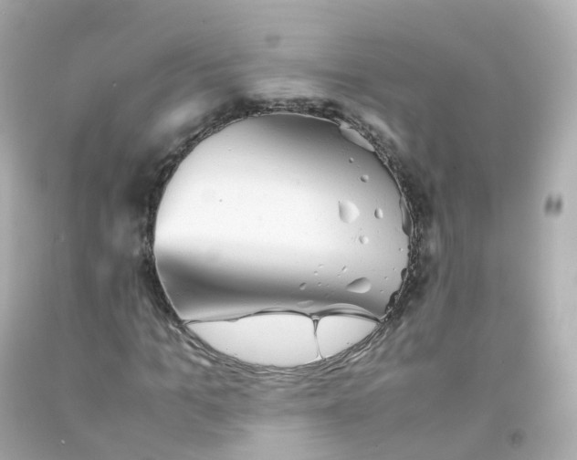 X0000093150965200710241359