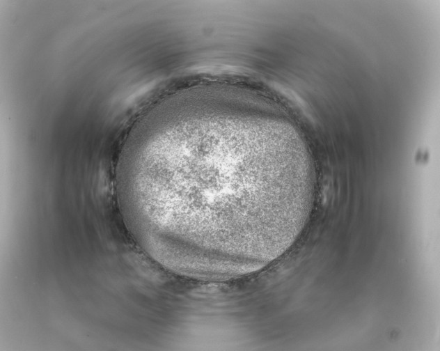 X0000093150966200710241359