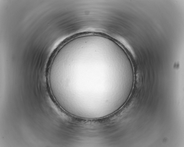 X0000093150972200710241359