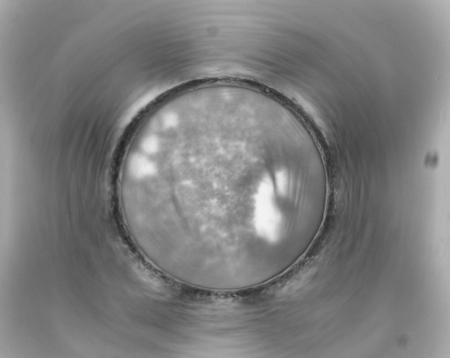 X0000093150975200710241359