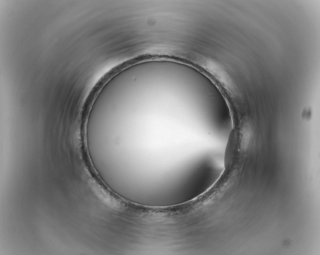 X0000093150976200710241359