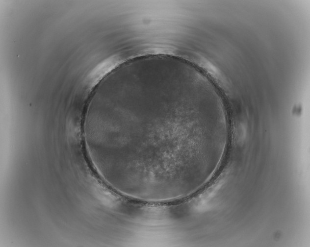 X0000093150977200710241359