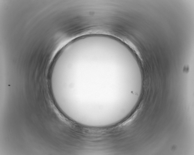 X0000093150981200710241359