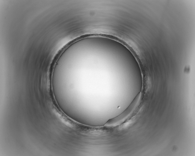 X0000093150982200710241359