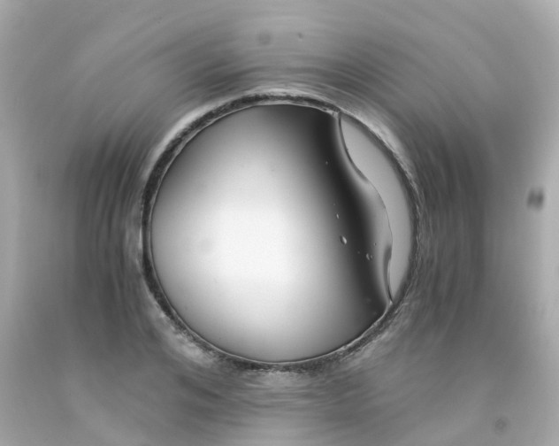 X0000093150984200710241359