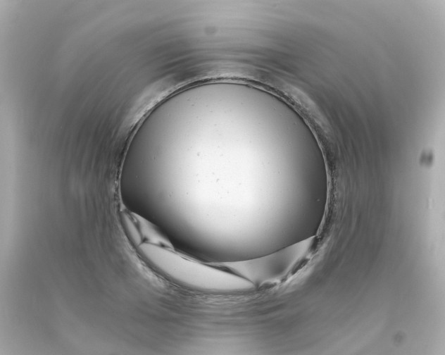 X0000093150985200710241359