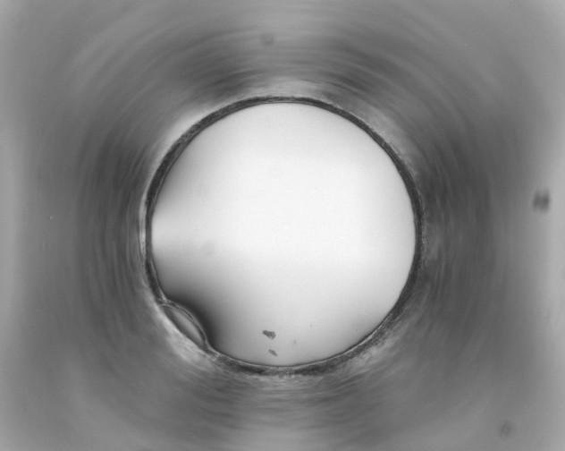 X0000093150988200710241359