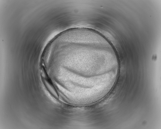 X0000093150990200710241359