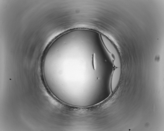 X0000093150991200710241359