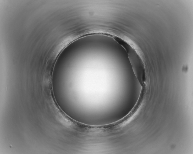 X0000093150993200710241359