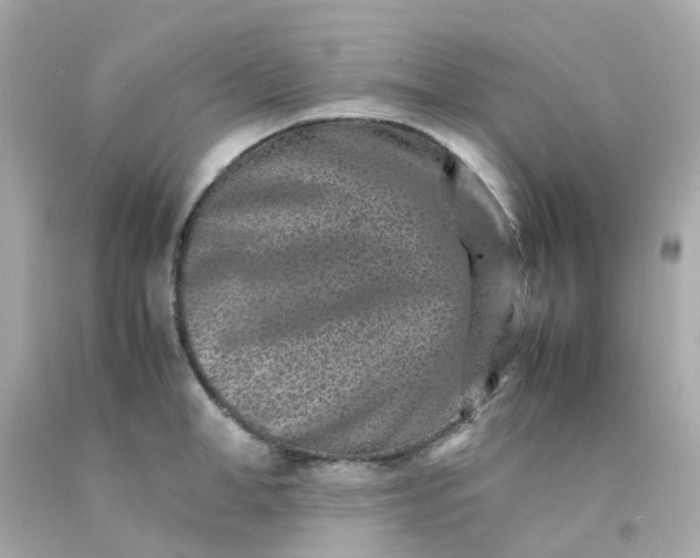 X0000093150998200710241359