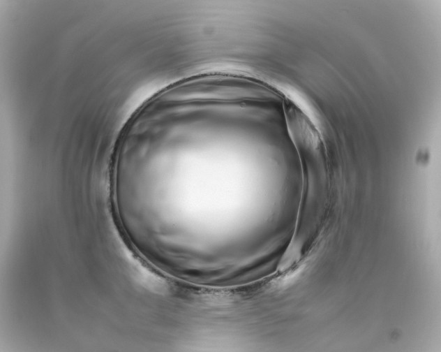 X0000093150999200710241359