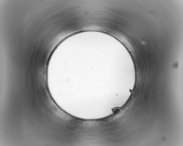 X0000093151000200710241359