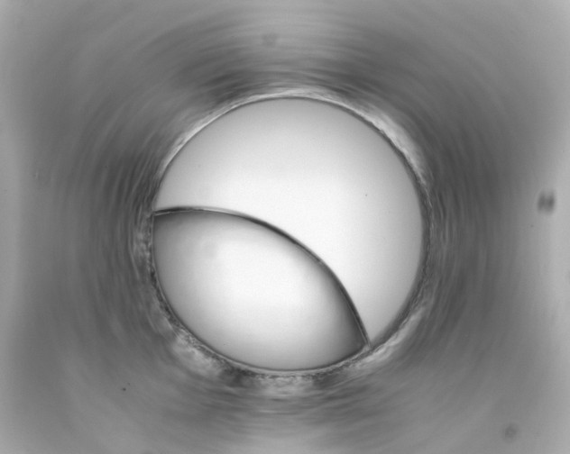 X0000093151001200710241359