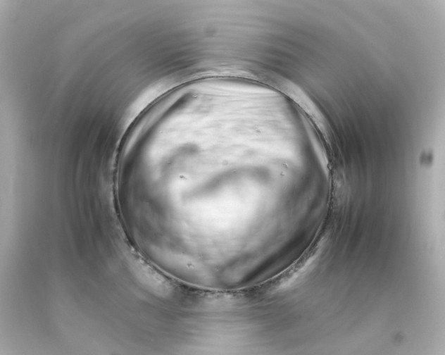 X0000093151002200710241359