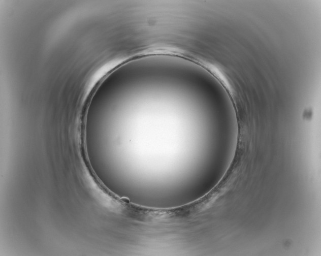 X0000093151003200710241359