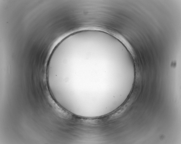 X0000093151004200710241359