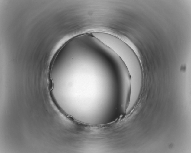 X0000093151005200710241359