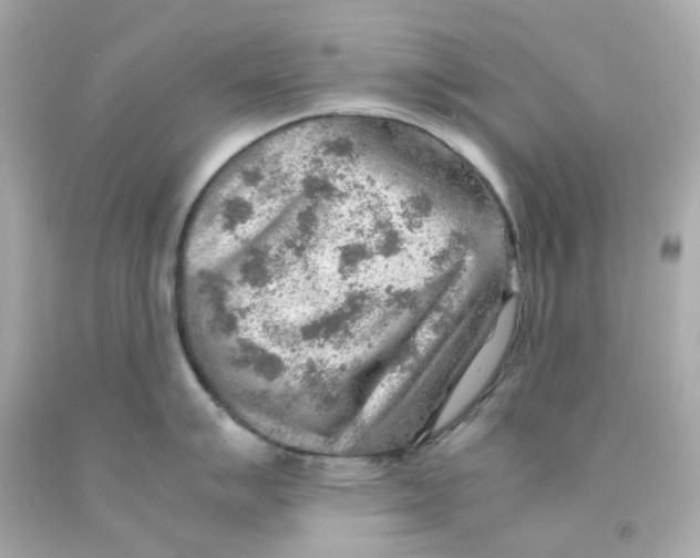 X0000093151007200710241359