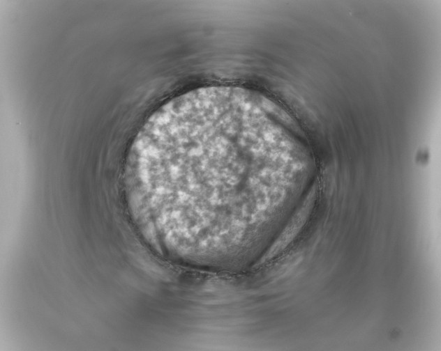 X0000093151009200710241358