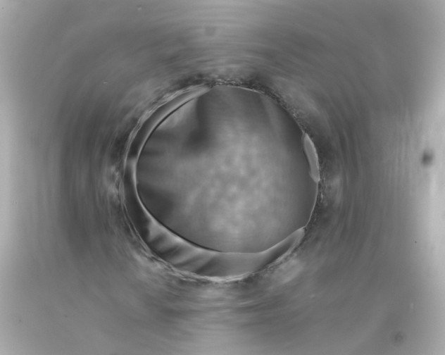 X0000093151010200710241358