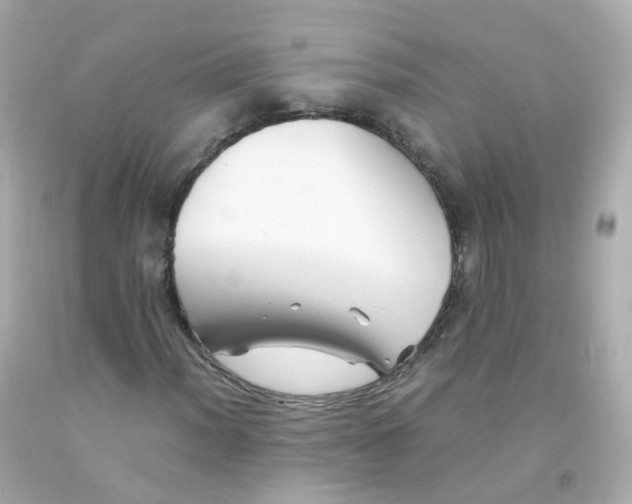 X0000093151012200710241358