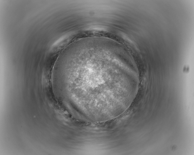 X0000093151014200710241358