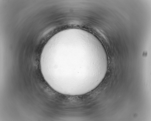 X0000093151015200710241358