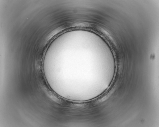 X0000093151017200710241358