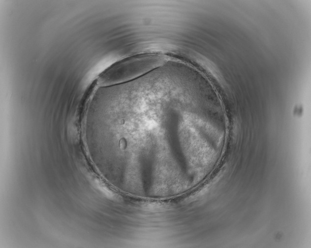 X0000093151018200710241358