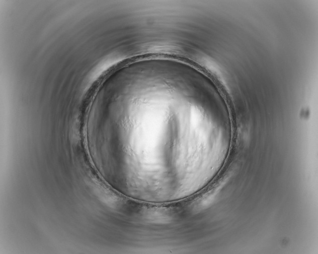 X0000093151019200710241358